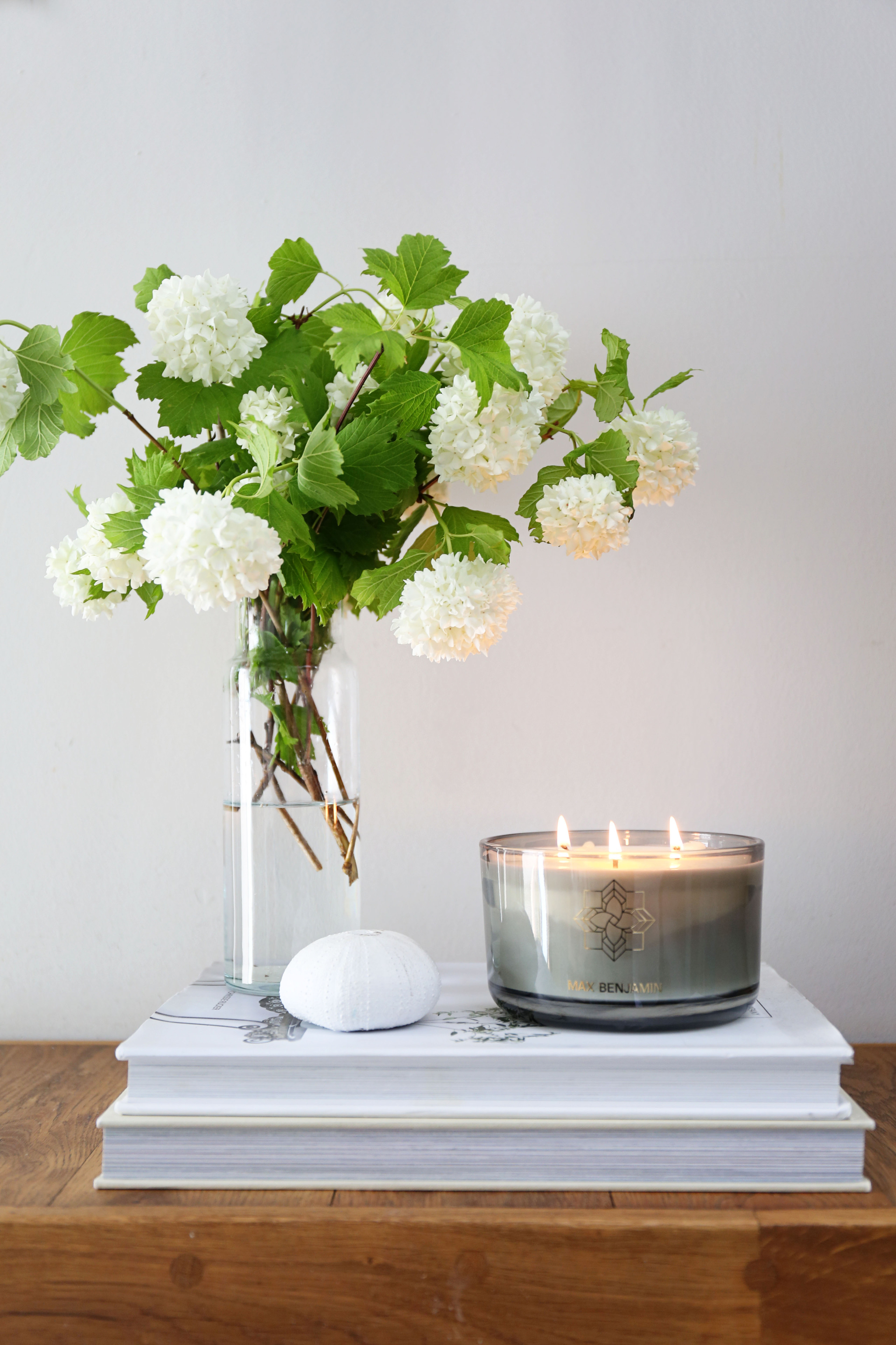 Max Benjamin Lemongrass & Ginger Diffuser Refill 150ml | Kilkenny